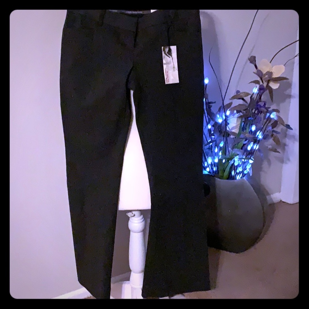 Express Design Studio Pants